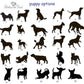 Personalize Pet Necklace - Birthmonth Deals